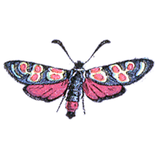 clip art butterfly designs - photo #35