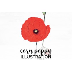 Corn Poppy