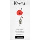 Corn Poppy