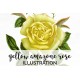 Yellow Amazone Rose