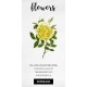 Yellow Amazone Rose