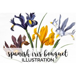 Spanish Iris Bouquet