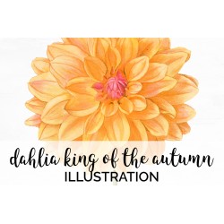 Dahlia King of the Autumn