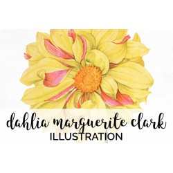 Dahlia Marguerite Clark