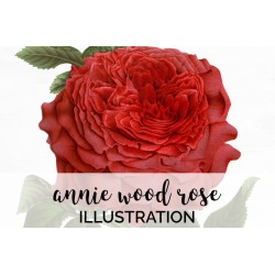 Annie Wood Rose