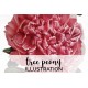 Tree Peony