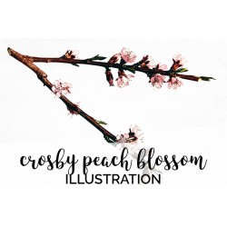 Crosby Peach Blossom
