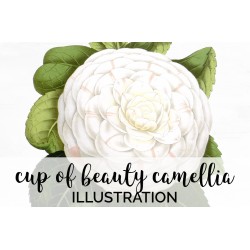Cup of Beauty Camellia