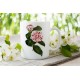 Princess Clotilde Camellia