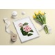 Princess Clotilde Camellia