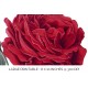 General Jacqueminot Rose