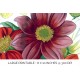 Single Dahlia