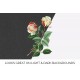 Safrano Tea Rose
