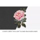 Tree Peony