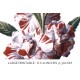 Balsam