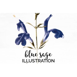 Blue Sage