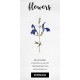 Blue Sage