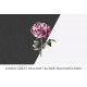 York Lancaster Rose