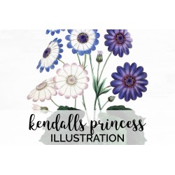 Kendalls Princess