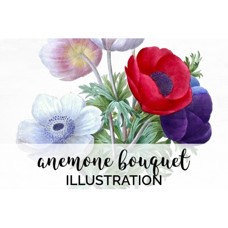 Anemone Bouquet
