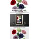 Poppy Anemone Bouquet