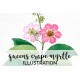 Queens Crape Myrtle