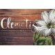 Clematis Miss Bateman