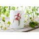 Single Amaryllis