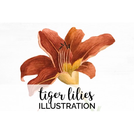 Tiger Lilies