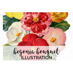 Begonia Bouquet