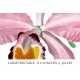 Cattleya Eldorado Orchid