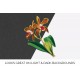 Cattleya Bicolor Lindley Orchid