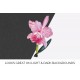 Cattleya Malanana Oorchid