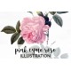 Pink Cyme Rose