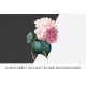 Pink Hydrangea Redoute