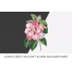 Donckelaers Japan Camellia