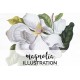 Magnolia