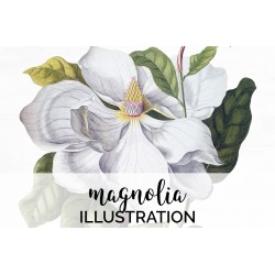 Magnolia