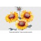 Blanket Flowers Daisy