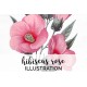 Hibiscus Rose