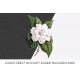 Florida Gardenia