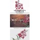 Red Snapdragon