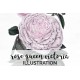Rose Queen Victoria