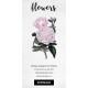 Rose Queen Victoria