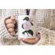 Camellia 0024