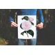 Camellia 0024