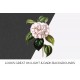 Camellia 0150