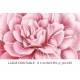 Camellia 0223