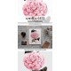 Camellia 0223