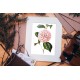 Camellia 0250